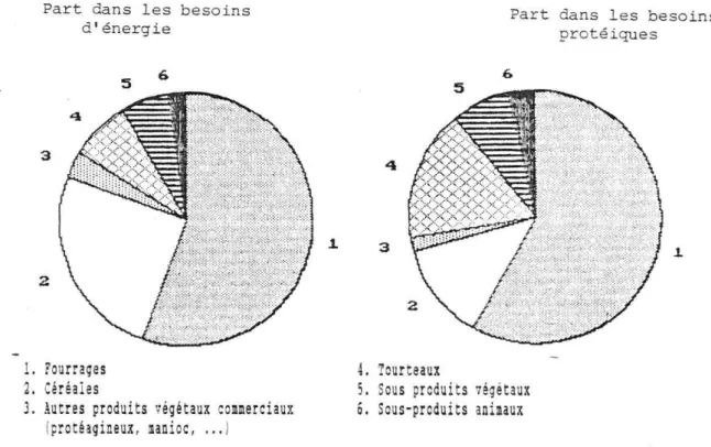 Figure  1.1.  La  structure  des  ressources  fourragères  totales  dans  l'Europe  des  10  (1983/84) 