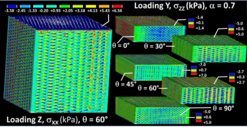 Fig. 9. Effect of vertical sampling on stress component contourplots (on the right ␴ ZZ for loading in lateral direction −Y and ␣ = 0.7) for different printing angles ␪