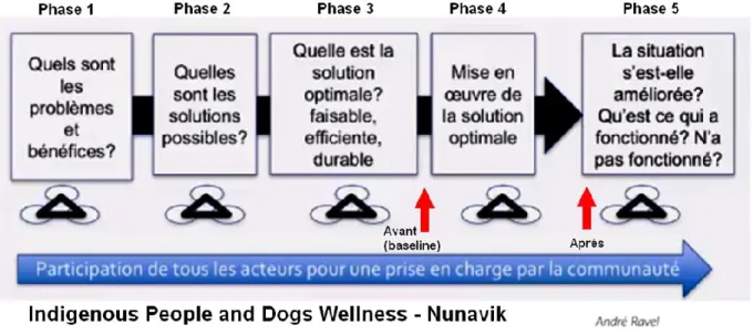 Figure 1. Phases du projet– Appui à la santé humaine et animale à l’interface humains-chiens 