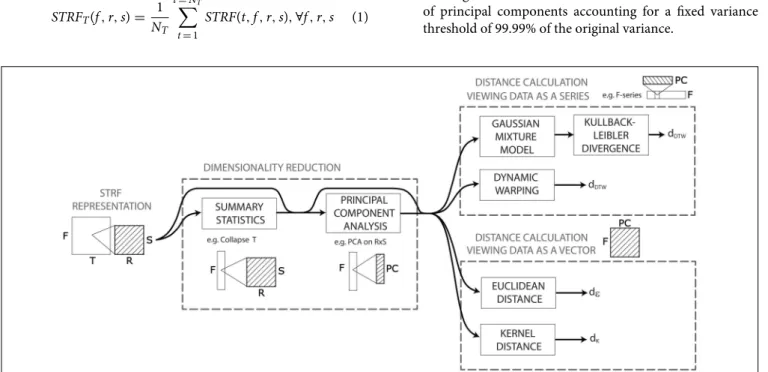 FIGURE 2 | Pattern recognition workflow of the distance calculation based on the STRF model