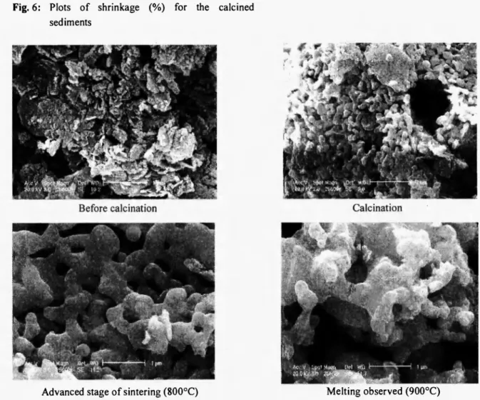 Fig. 6: Plots of shrinkage (%) for the calcined  sediments 