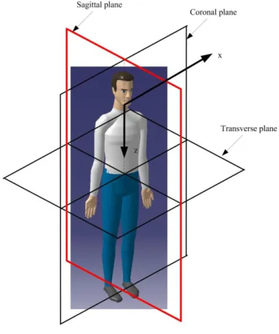 Figure 3 Body-based trunk coordinate system 