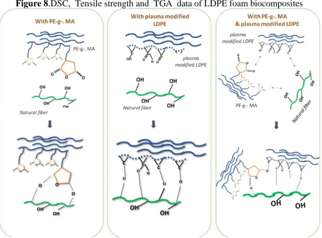 Figure 8.DSC,  Tensile strength and  TGA  data of LDPE foam biocomposites 