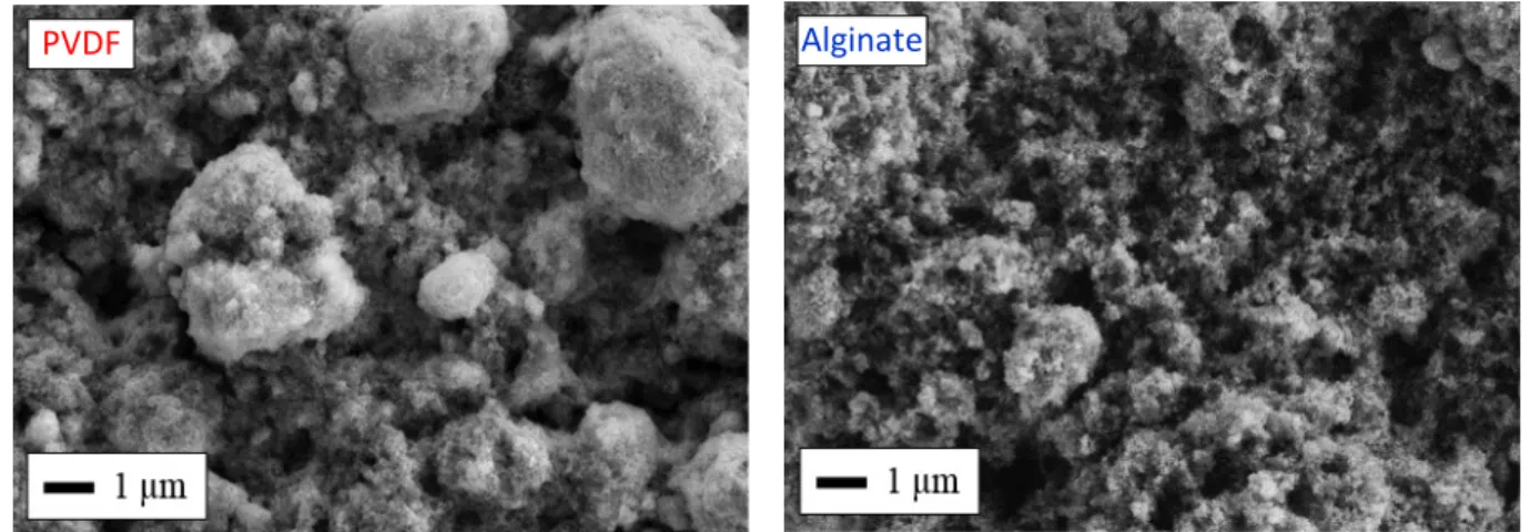 Figure  7.  Representative  scanning electron micrographs of the surface of electrodes prepared using  either PVDF (left), or alginate (right), as the binder