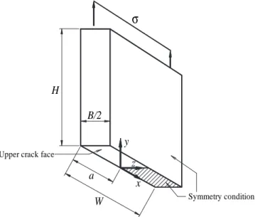 Fig. 3. Model of a plate with a single edge crack loaded in tension.