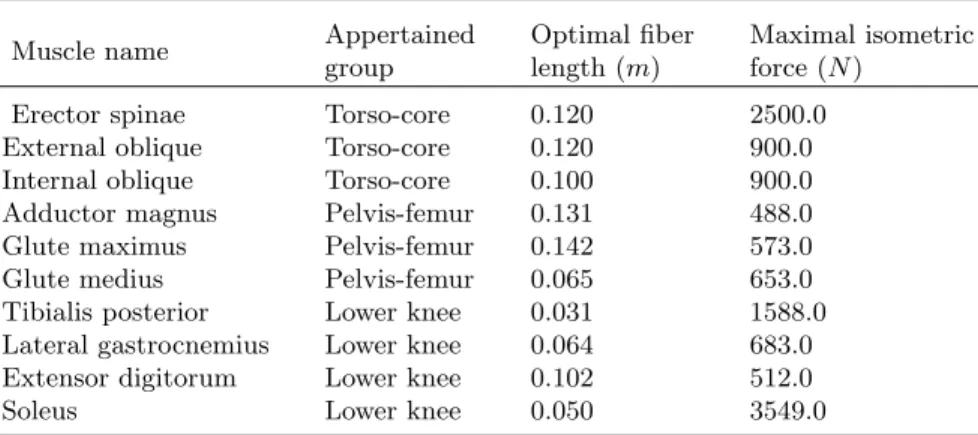 Table 1. Basic characteristics of the analyzed muscles.