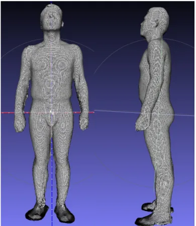 Fig. 3. The 3D geometric model of the subject generated by 3D scan.