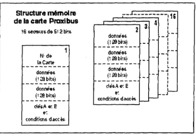 Figure 6 : organisation de la carte