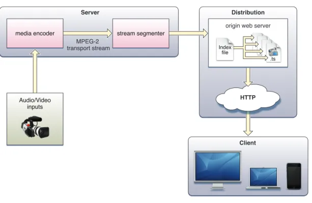 Figure 2.1: HLS configuration