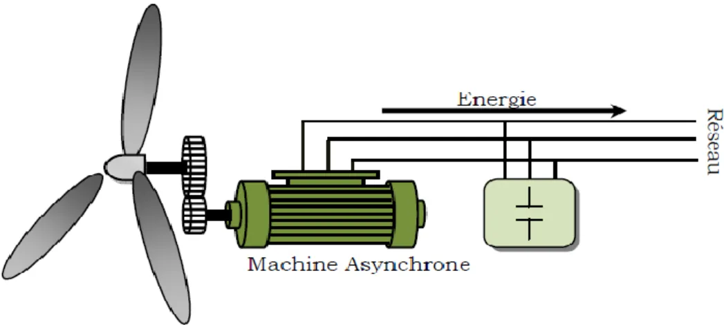Figure I.9 : Générateur asynchrone à double stator[17]. 