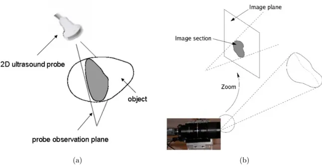 Figure 1.4: Difference between an optical system and a 2D ultrasound one in the man- man-ner they interact with their respective environments: (a) a 2D ultrasound probe  ob-serves an object, through the cross-section resulting from the intersection of its 