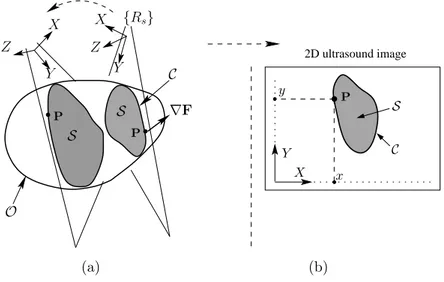 Figure 3.9: Contour points - (a) A point P that lies on the cross-section’s contour C is depicted along with the observed object in the 3-D space