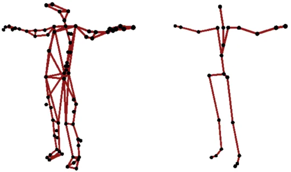 Figure 3.3: Body representations. Left image corresponds to marker-set used during the second motion capture sessions (called posture V)