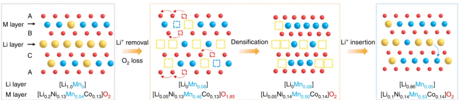 Fig. 8 Schematic of the A → A ′ → P ′ phase transition. Delithiation and oxygen evolution create vacancies in both cationic and anionic sublattices upon charge to above 4.6 V in the ﬁ rst electrochemical cycle