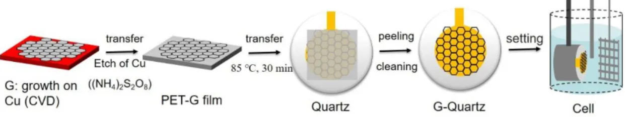 Figure S1. Transfer process of single layer graphene on Au-coated quartz substrate. 