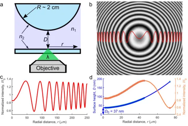 Figure 12.  Newton’s Rings method for measuring separation distance. (a) A schematic of the