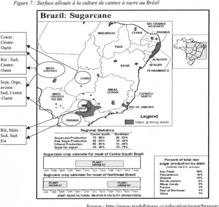 Fig ure  7 : Surface allouée à la culture de cannes à sucre au Brésil 