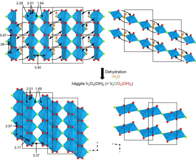Figure 7. Proposition of structural arrangement in Gain’s hydrate based on structural subunits  consisting in dimers of single chains of edge sharing octahedra