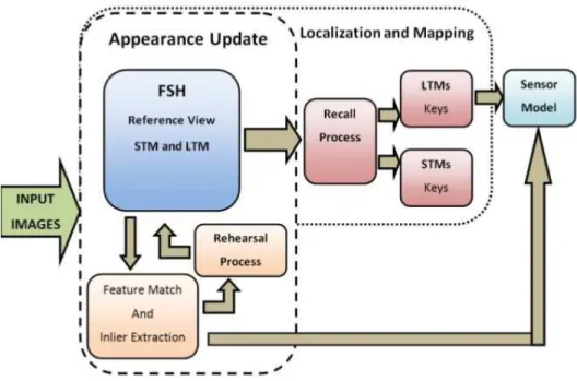 Figure 2.5: Feature Stability Histogram memory model, courtesy of [Bacca 2012]