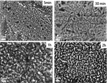 Figure 6.  Scanning electron micrographs of the  electrodeposited samples prepared at different duration time