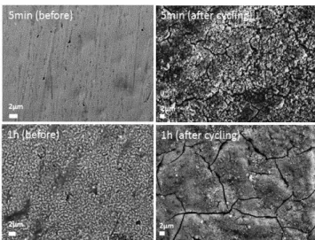 Figure 9. Scanning electron micrographs of electrodeposited samples (after 5 min and 1h) on Cu substrate before  and after 50 cycles vs
