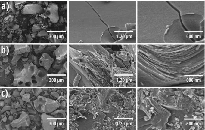 Fig. 5 SEM-EDX mapping micrographs of the Si_75C_250M electrodes; superposed micrograph (a), secondary electron micrograph (b), carbon mapping (c), oxygen mapping (d) and silicon mapping (e).