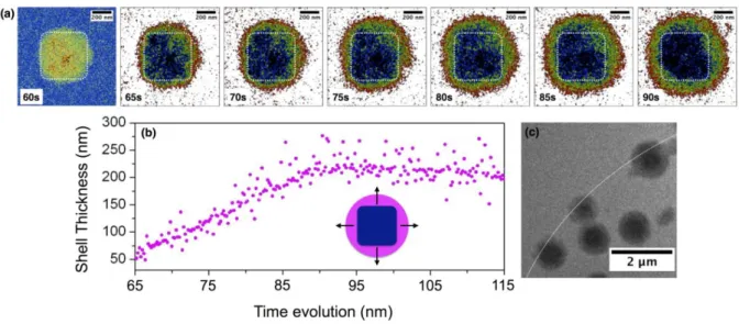 Figure  4:  The  fast  and  animated  operando  TEM  images  showing  the  evolution  of  the 224 