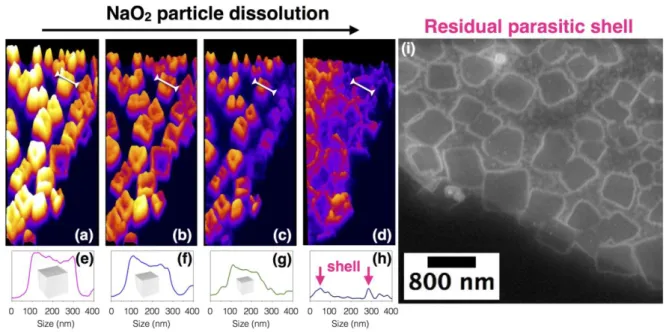 Figure 7: HAADF-STEM imaging of the charge process. Animated images at different depth 379 