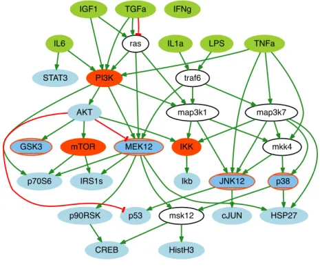Figure 3.2: Prior knowledge network (V,E, σ) describing signaling pathways in human liver cells