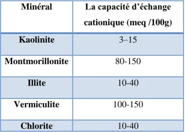 Tableau  I -3 : La capacité d’échange cationique pour les principales familles argileuses[11].