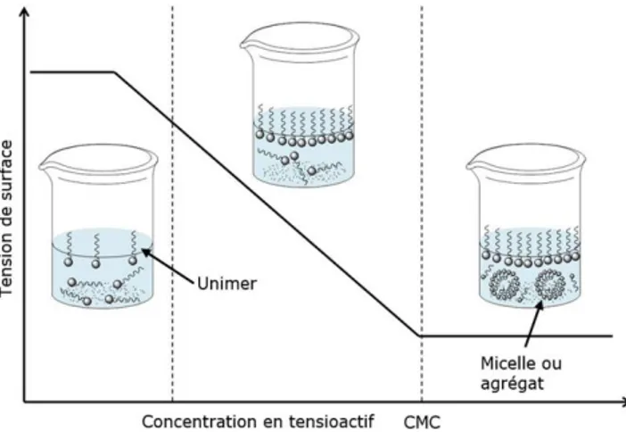 Figure I -8:Organisation des tensioactifs en solution en fonction de la concentration eteffet sur la  tension interfaciale[29] 