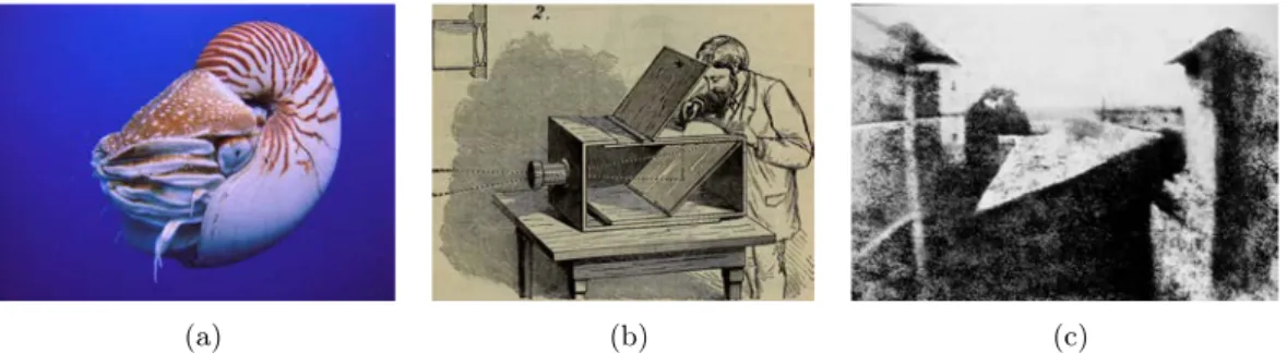 Figure 2.1 – History of electronic imaging. Fig. (a): picture of a cephalopod Nautilus.