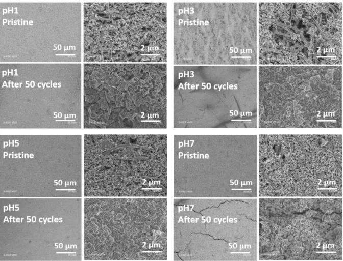 Figure 7 : SEM image for pH1, pH3, pH5 and pH7 electrodes before and after 50 cycles (end  of charge after 3 rinsing with DMC)