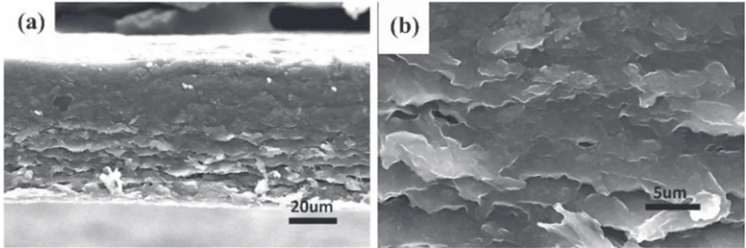 Fig. 5 shows the electrochemical characterization at higher temperature, namely 40 ! C, 60 ! C and 80 ! C