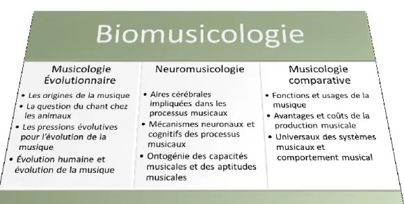 Figure 1: Organigramme de la biomusicologie (Wallin, 1991) 