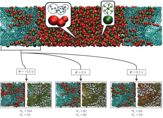 Illustration des simulations que nous avons réalisées (figure extraite de  notre  article  dans  Nature  Materials)