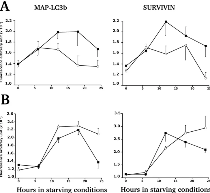 Figure S1 Daily food intake of pups between day-39 and day-42, from dams fed on low-protein or control diet during perinatal period