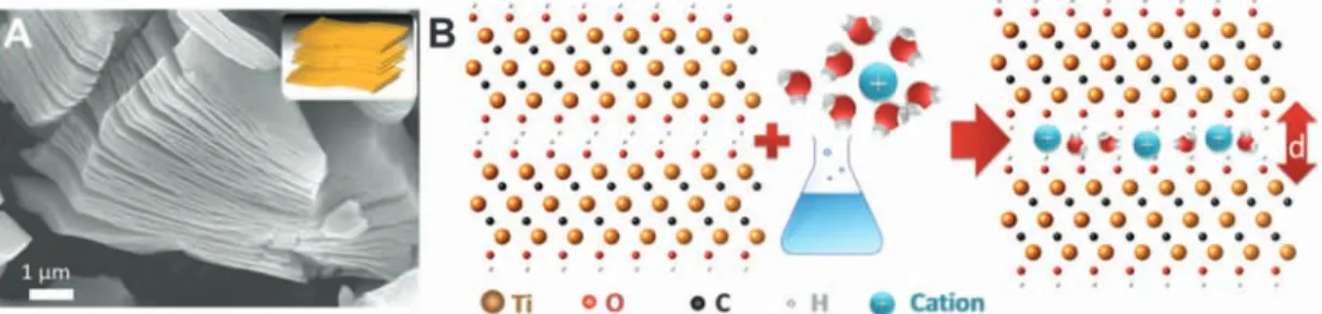 Fig. 1. Intercalation of multi- multi-layer exfoliated Ti 3 C 2 T x . (A) Scanning electron micrograph of the Ti 3 C 2 T x layered particle