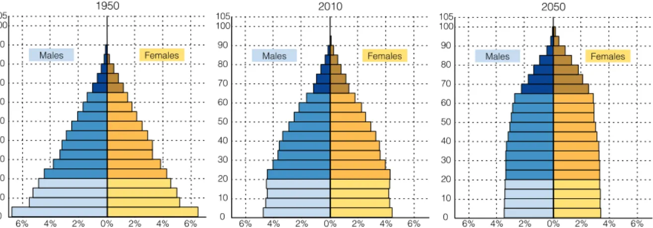 Figure 1.1: World Population by Age Groups and Sex (Ratio Over Total Population) [3]