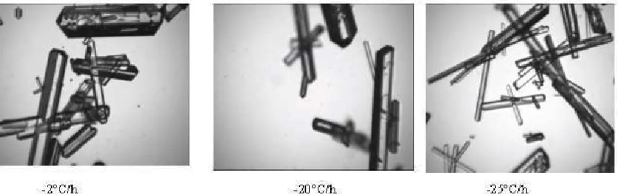 Figure 4- 13:Morphologie de croissance des cristaux d’AO pour différentes vitesses de refroidissement