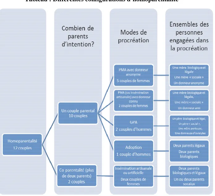 Tableau : Différentes configurations d’homoparentalité