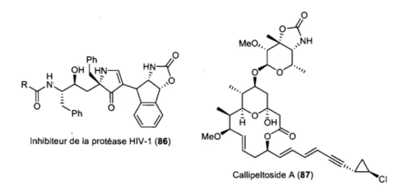 Figure  7:  Structure  des  composés  dont  l'oxazolidinone  a  été  fonné  par une  réaction  intramoléculaire d'insertion dans un lien C-H 