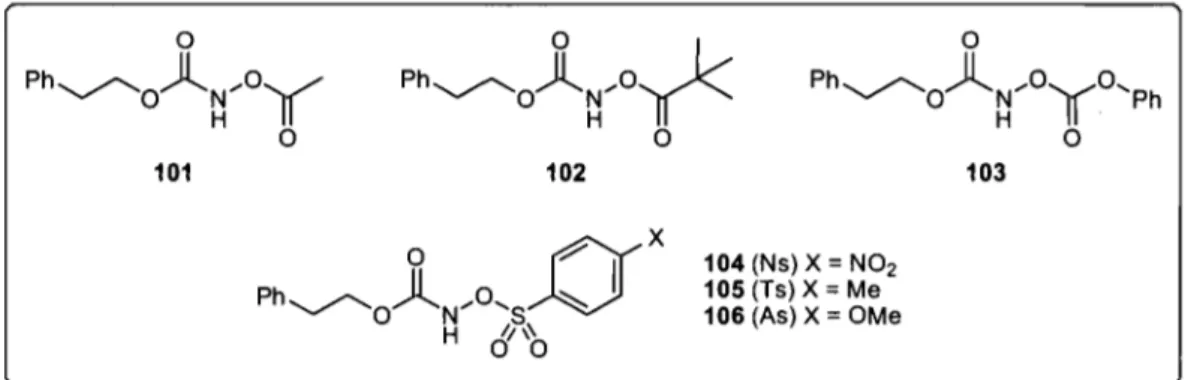 Figure 9:  Variété de N-alkoxycarbamates substitués 