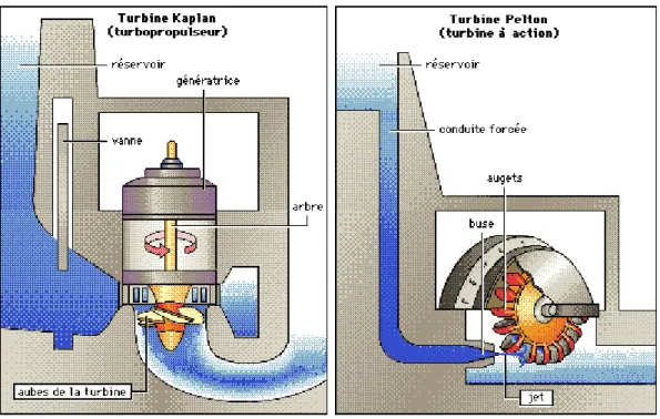 Figure n°1 : présentation graphique des turbines Kaplan et Pelton