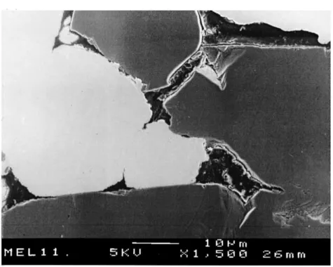 Figure 1.18 – Microstructures de poudres composites : nécessité de déformation de la matrice [Bouvard 2000].