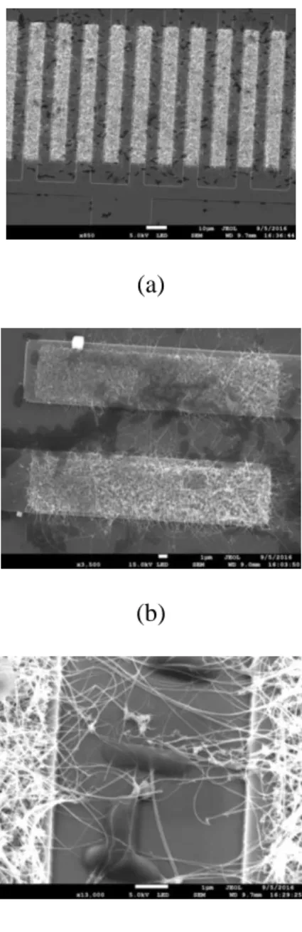 Figure 4: SEM pictures of bacteria (dark areas) hanged into SiNWs network of the resistor  shown at three different scales 