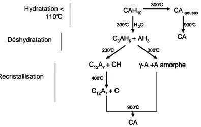 Figure I-9 : Changements de phases associés à l’hydratation et au chauffage d’un ciment  alumineux (Nonnet 1999)Evolutions à haute température – système CaO-Al 2 O 3 