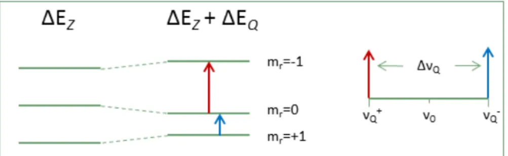 Figure 5 : ΔE Z  est la différence d’énergie Zeeman, et ΔE Q  la variation d’énergie des niveaux due à  l’interaction quadripolaire