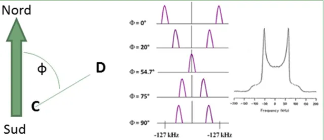 Figure 6 : Influence de l’orientation de la liaison C-D par rapport au champ magnétique sur les  interactions quadripolaire et le spectre de poudre résultant de la superposition de différents 