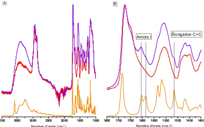Figure 9 : A : Spectres ATR-IR de poudres de micelles polymères (rouge), de micelles chargées en  SN-38 (10 (p/p)%) (violet) et de SN-38 pur (orange)